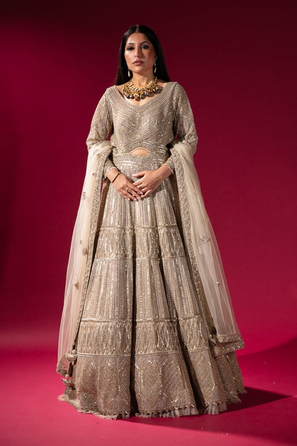 Shiffonz net luxury embroidered gown