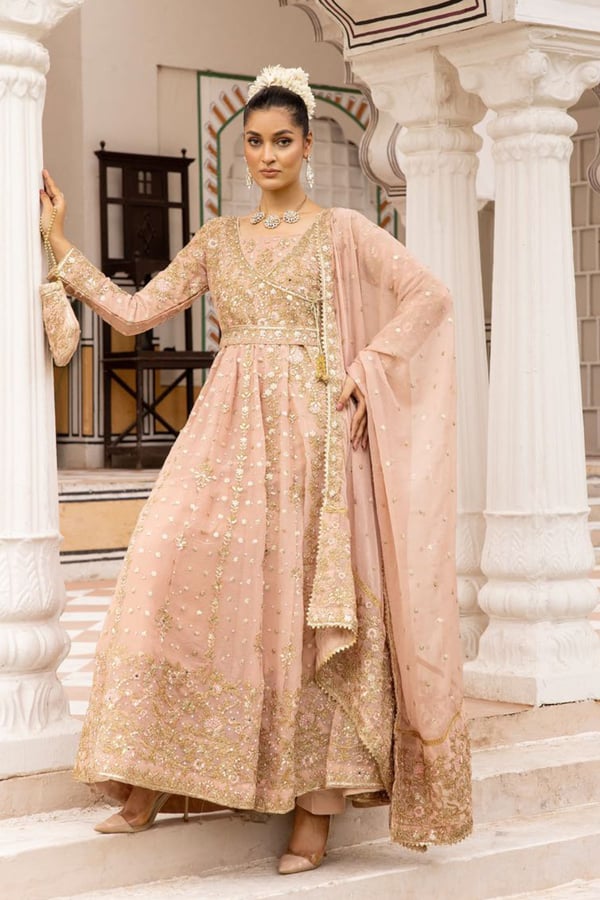 Alamzeb by Shiffonz 3 piece dori embroidered gown - Peach, X - Large
