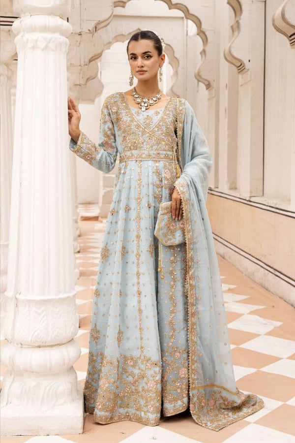 Alamzeb by Shiffonz 3 piece dori embroidered gown