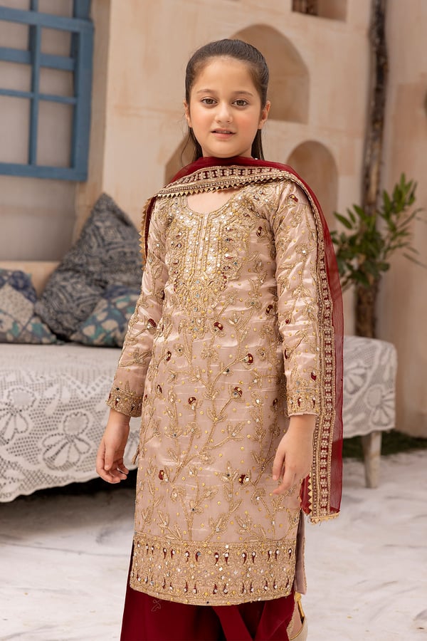 Nureh Shiffonz collection kids 3 piece embroidered suit - Image 5