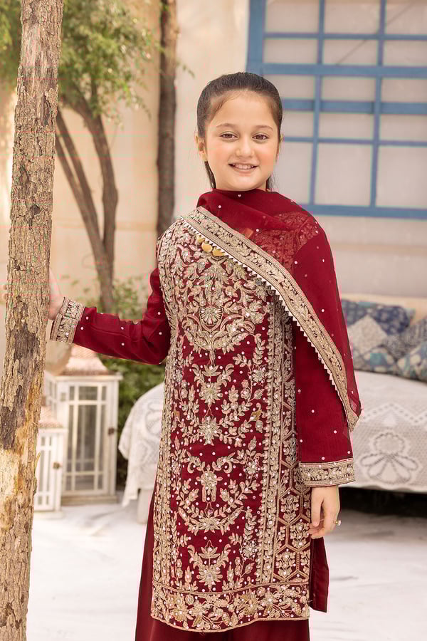 Nureh Shiffonz collection kids embroidered plazo suit - Image 5