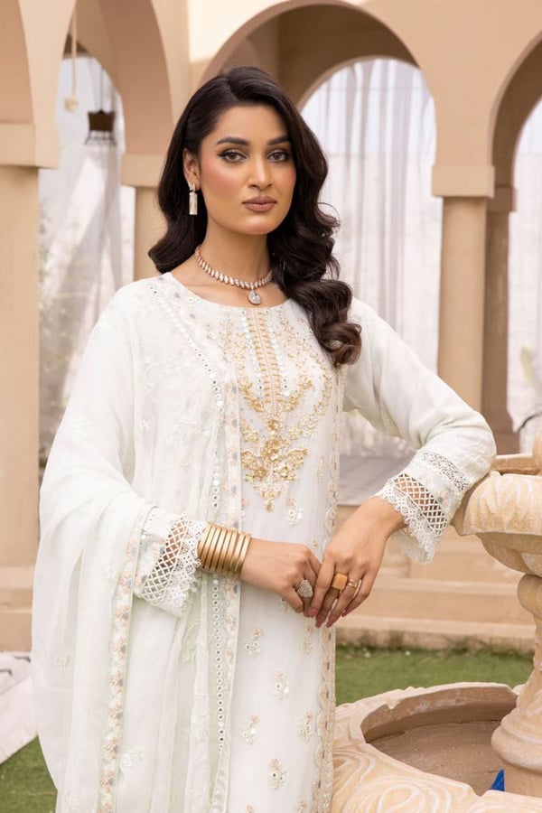 Agha Noor lux by Shiffonz 3 piece embroidered suit - Image 4