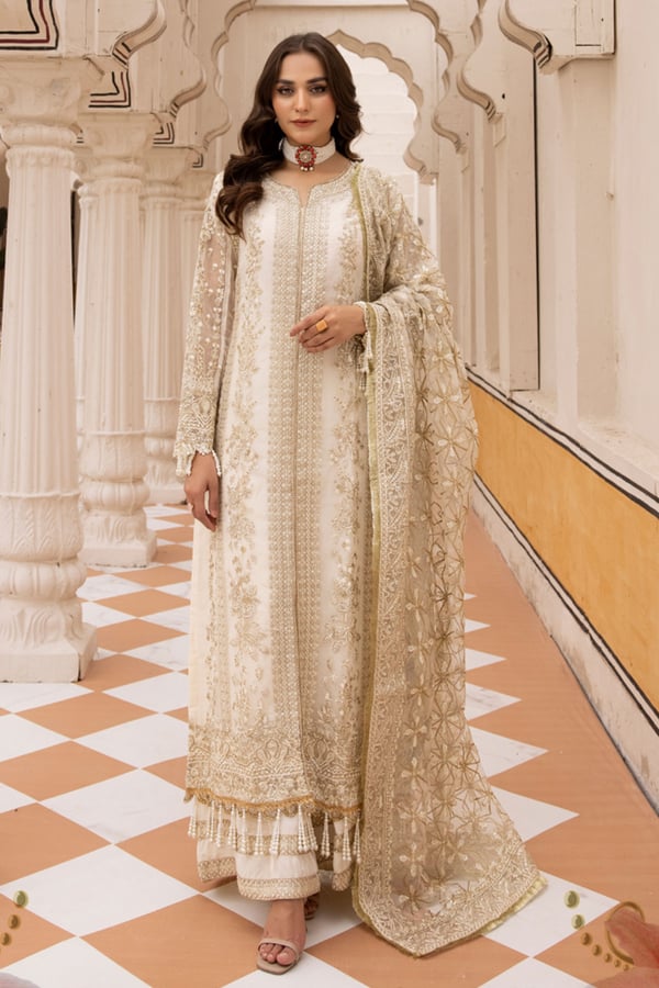 Noori collection 3 piece organza embroidered suit