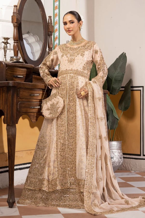 Alamzeb collection 3 piece embroidered gown
