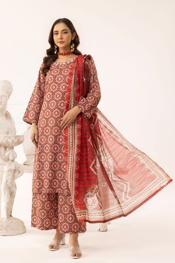Aleena lux collection 3 piece printed suit