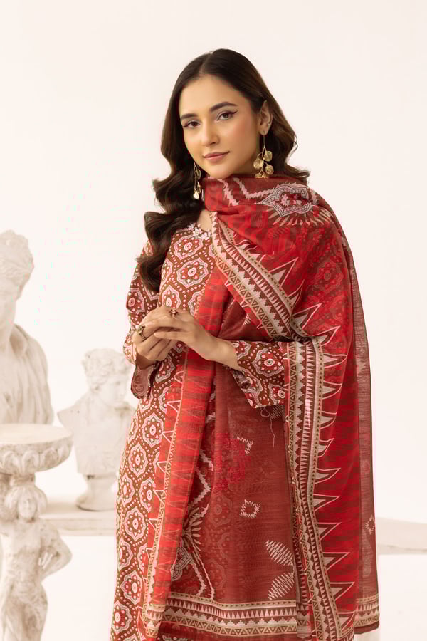 Aleena lux collection 3 piece printed suit - Image 4