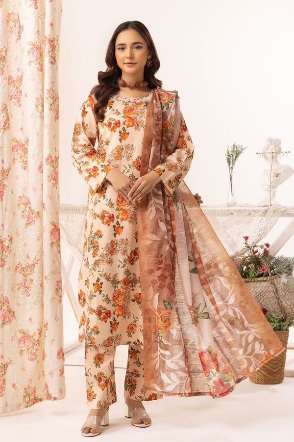 Aleena lux collection 3 piece printed suit