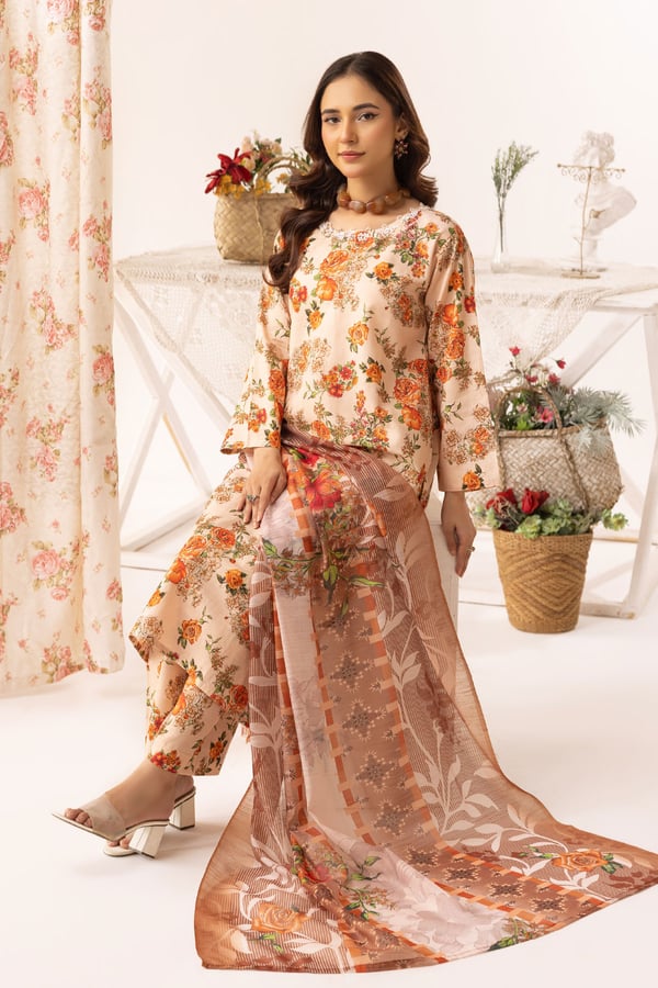 Aleena lux collection 3 piece printed suit - Image 5