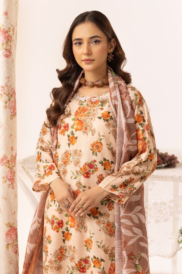 Aleena lux collection 3 piece printed suit - Image 4