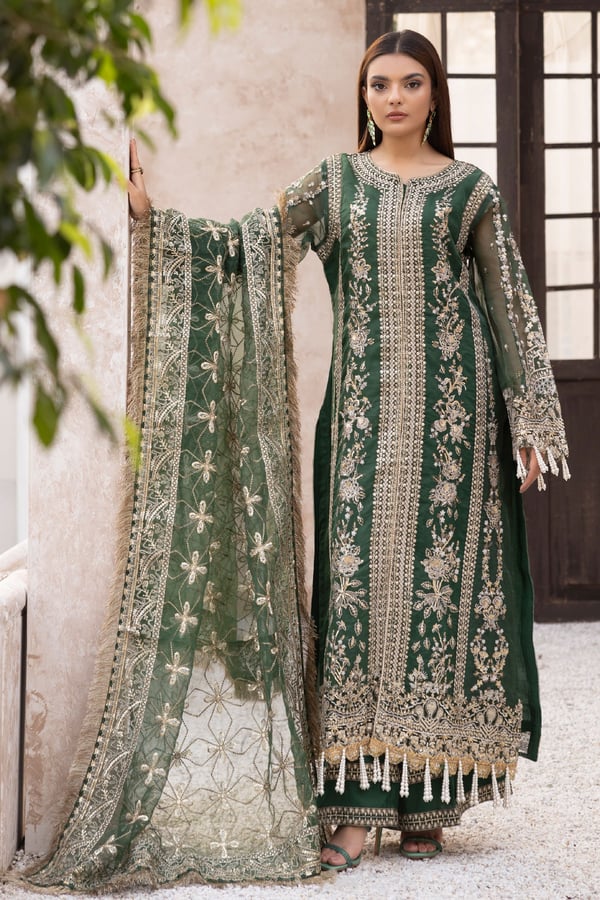 Noori collection 3 piece organza embroidered suit - DGREEN, Large