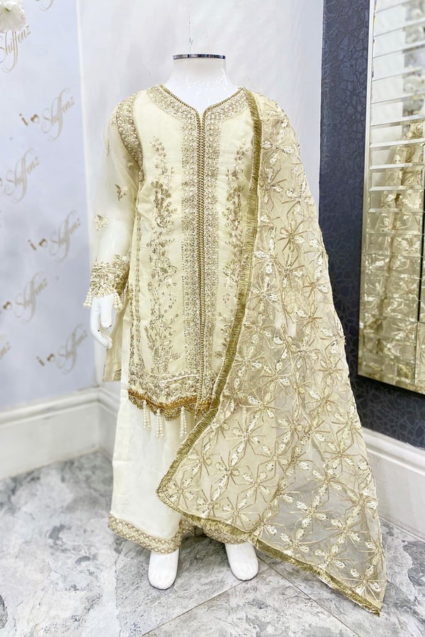 Noori kids collection 3 piece organza embroidered suit