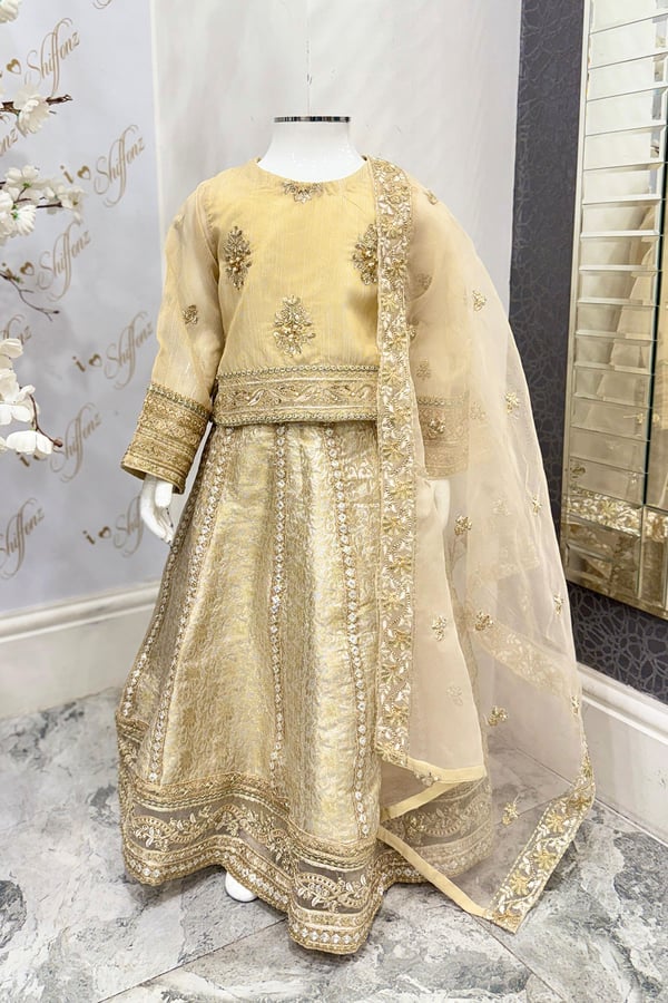 Afiya kids collection 3 piece embroidered lengha choli