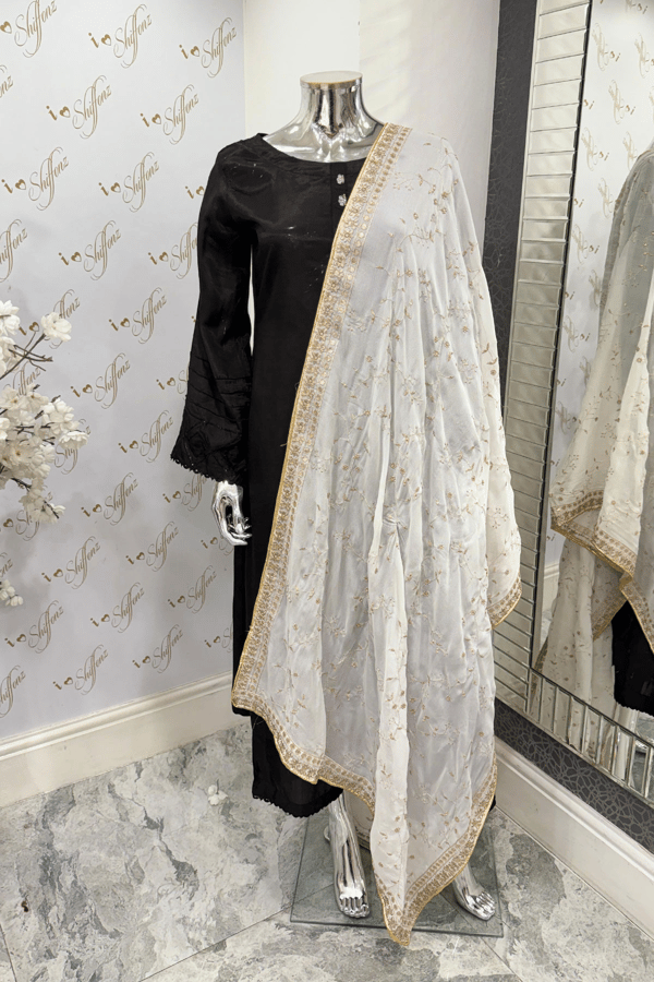 Chiffon embroidered dupatta