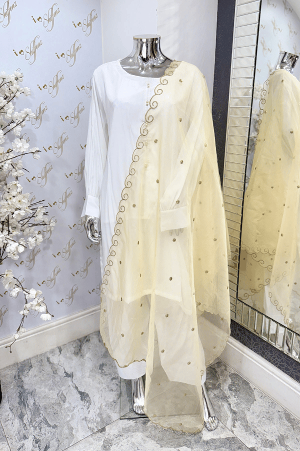 Organza dupatta with border work - Beige, FS