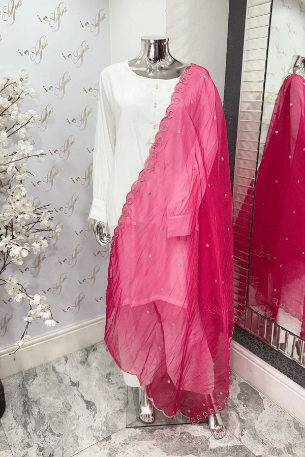 Organza dupatta with border work - DKPINK, FS