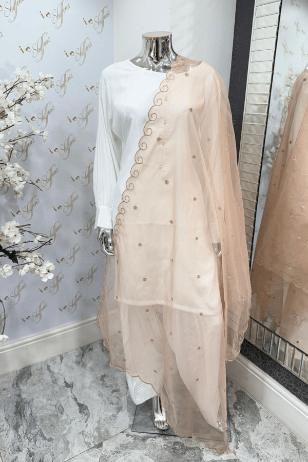 Organza dupatta with border work - Pink, FS