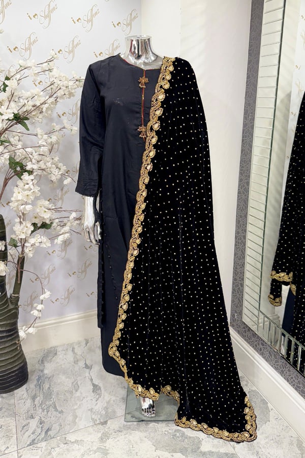 Velvet embroidered collection with heavy border - Black, FREE SIZE