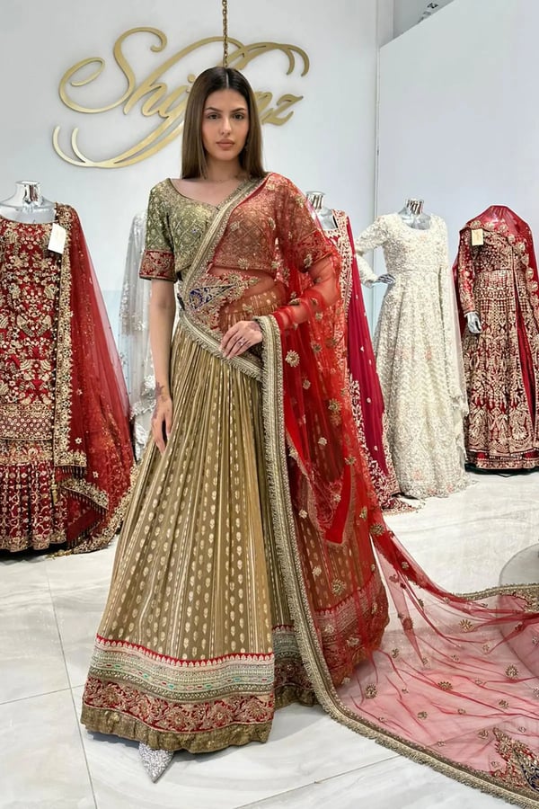 3 Piece organza threadwork lehnga choli