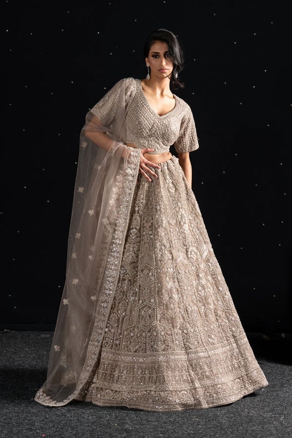 Deluxe 3 piece net lengha choli