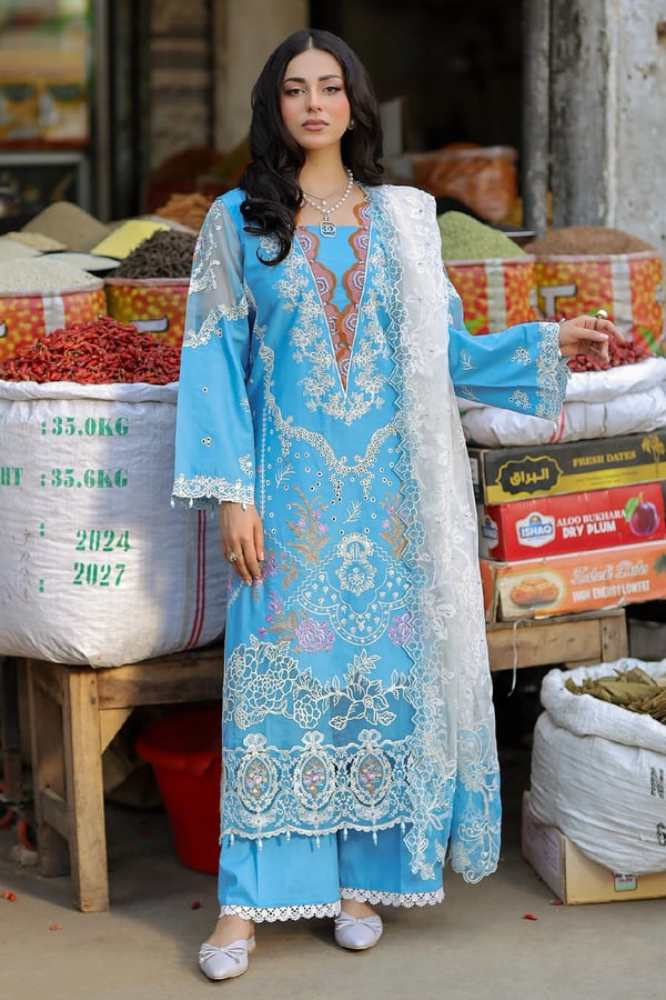 Bazar Kahani Eid 2025 3 piece graceful mother's suit - Blue, Large