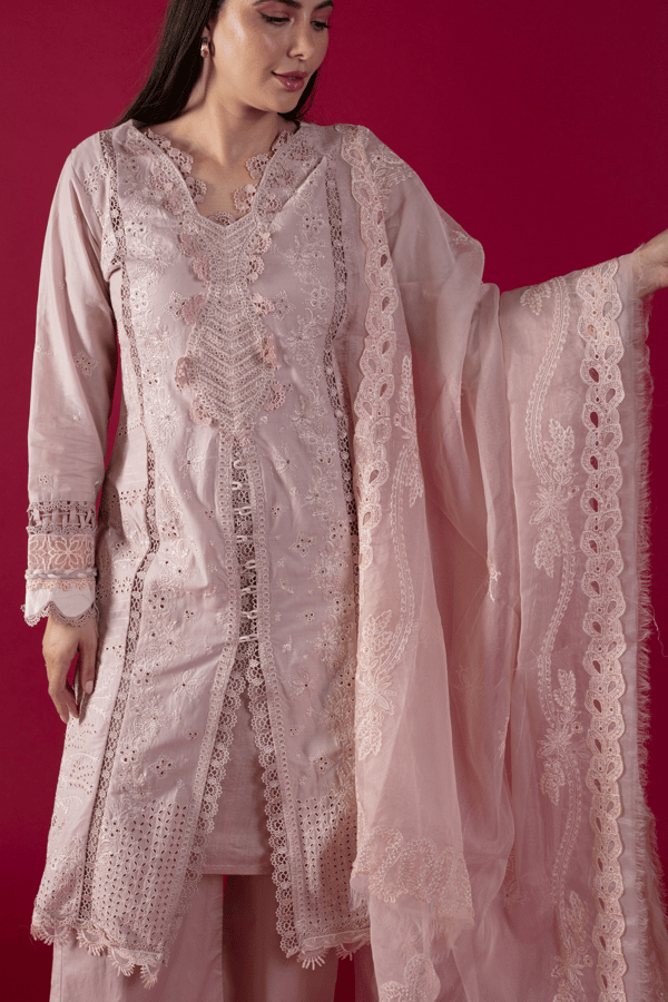 Afiya lux collection 3 piece embroidered suit - Image 6
