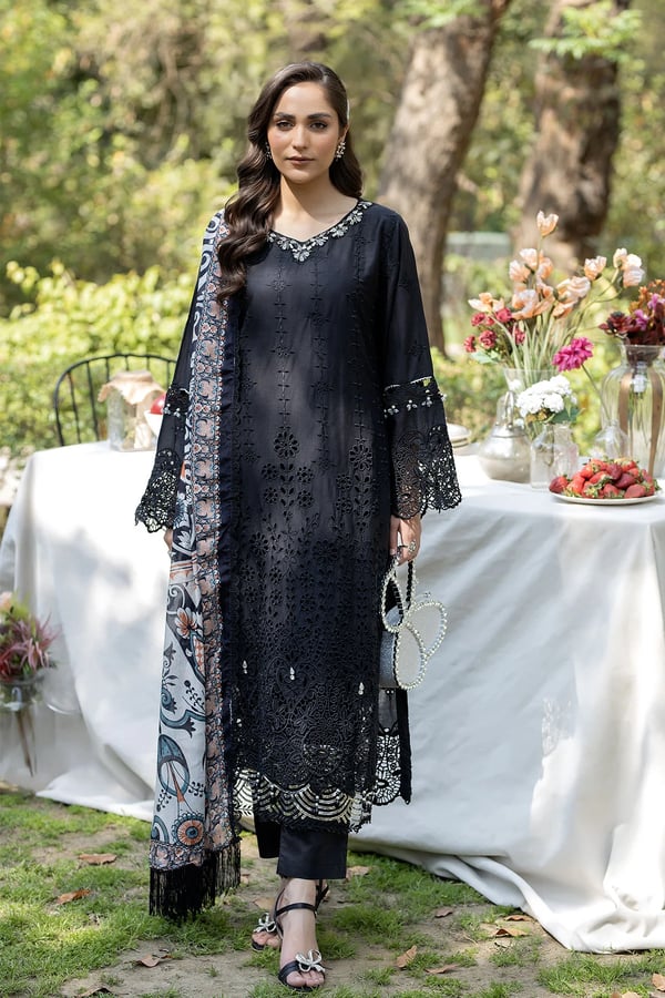 Ivana 3 piece luxe chikan kari embroidered Eid suit - Black, Large