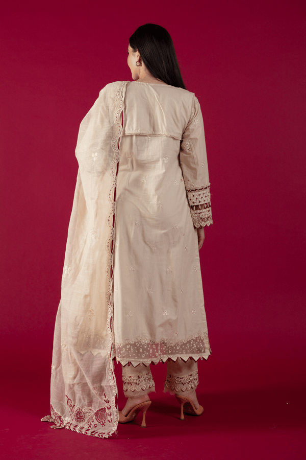 Afiya lux collection 3 piece luxury embroidered suit - Image 3
