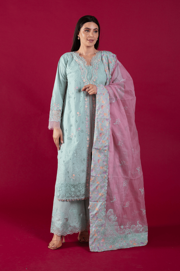 Afiya luxe collection 3 piece embroidered lawn suit - Blue, X - Large