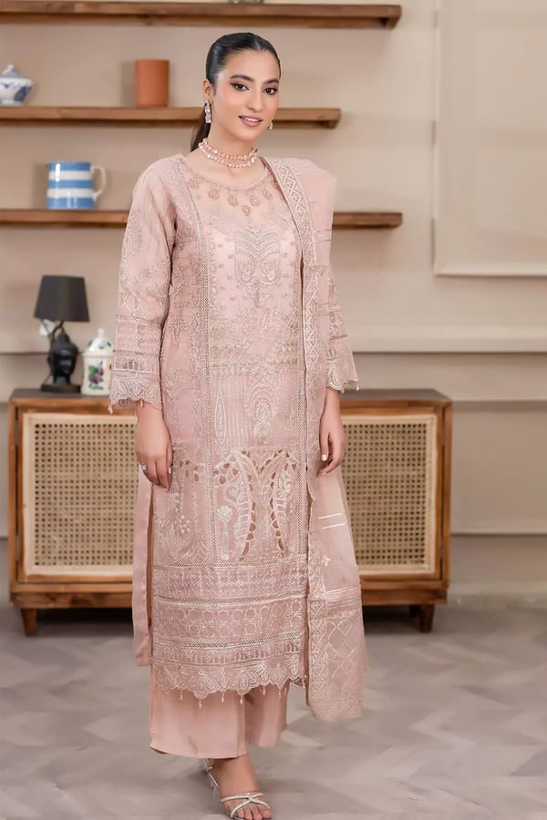 Aurora 3 piece organza embroidered mother and daughter collection