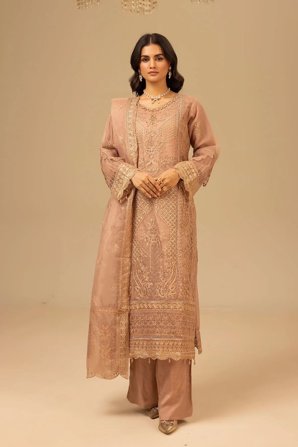 Aurora 3 piece organza embroidered collection