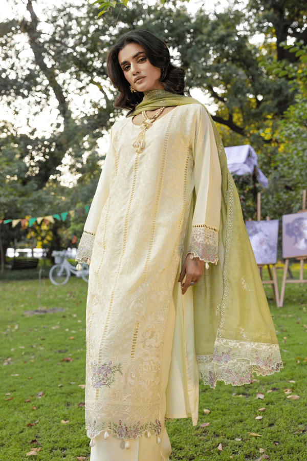 Ella 3 piece viscose chikan kari embroidered collection - Image 4