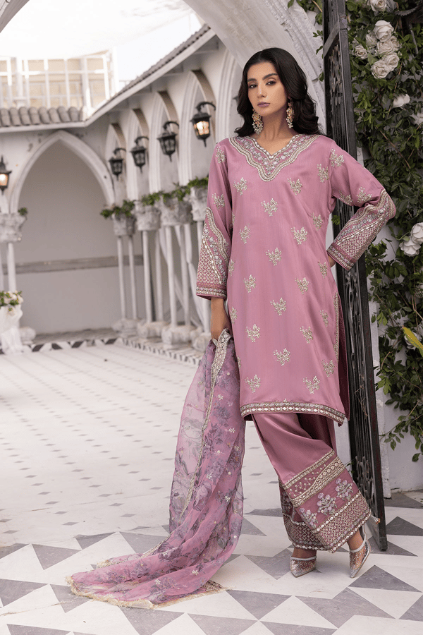 Ethnic collection 3 piece embroidered Eid outfit