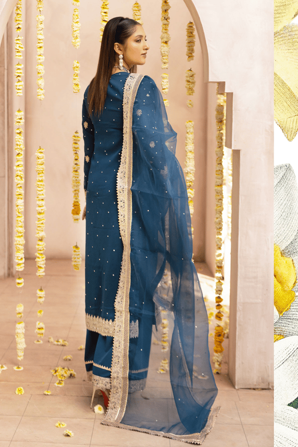 Meera luxe collection 3 piece embroidered plazo suit - Image 2