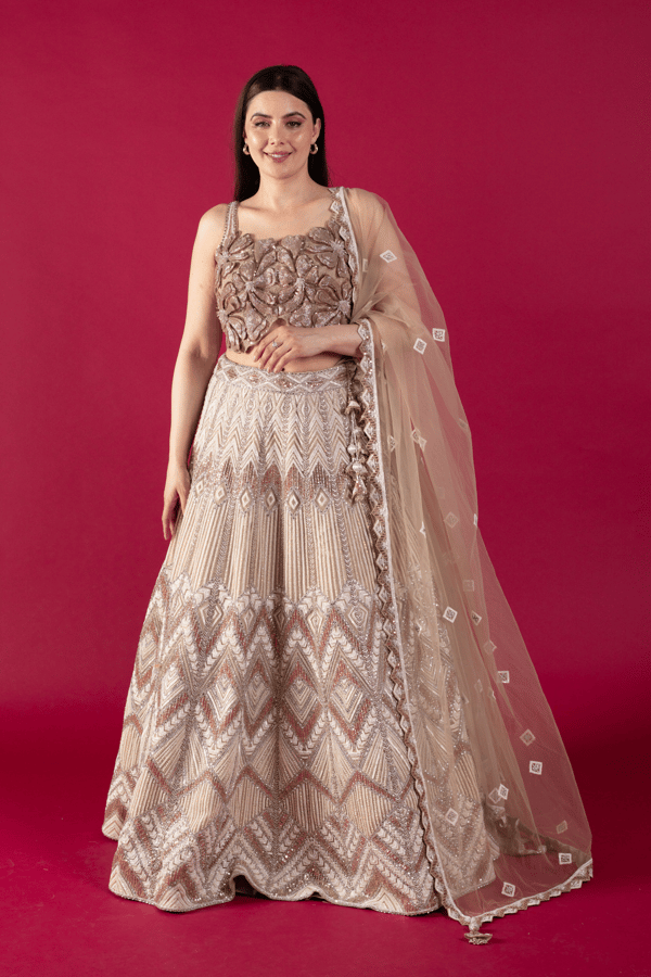 Shiffonz luxury embroidered 3 piece lengha choli