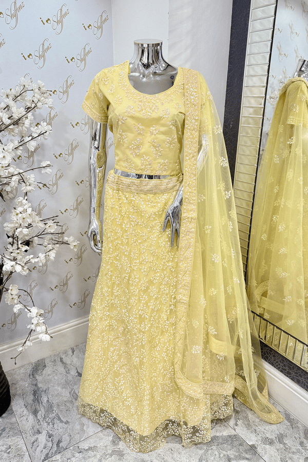 Shiffonz net embroidered lengha choli