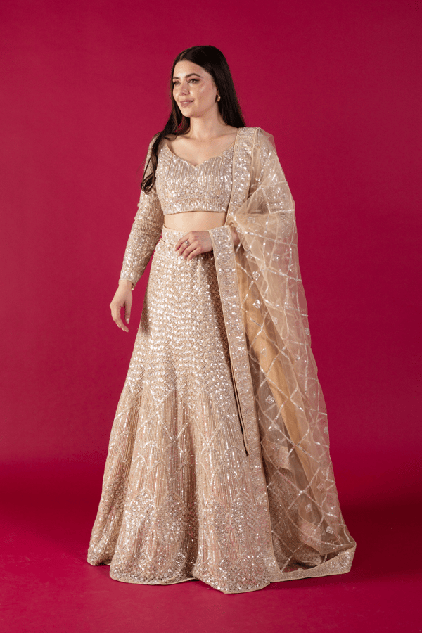 Shiffonz embroidery net lengha choli