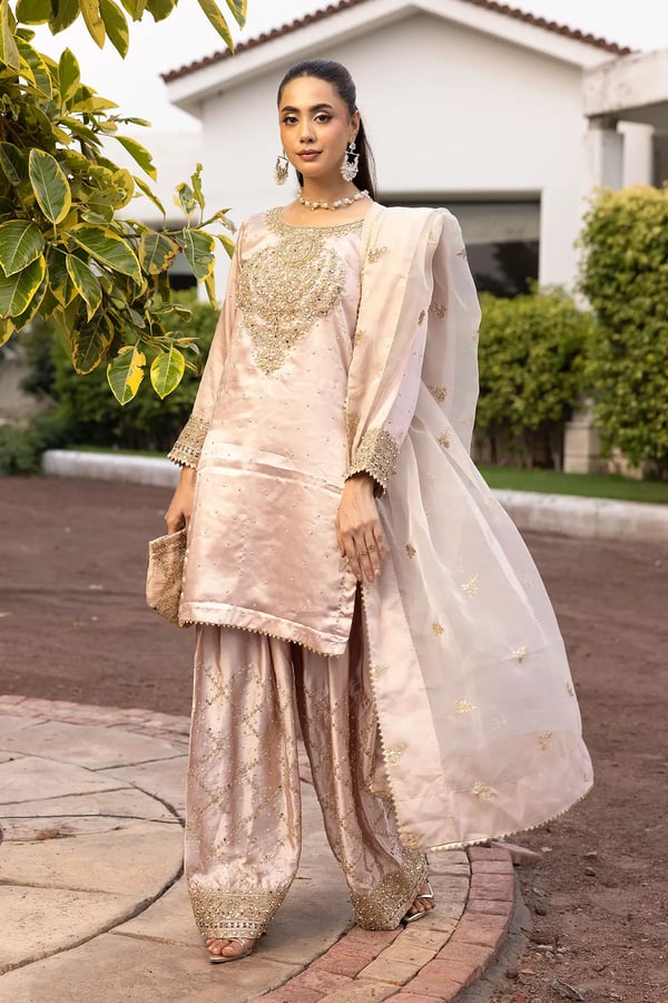 Hussain Rehar luxe collection farshi shalwar suit - DTPINK, X - Large