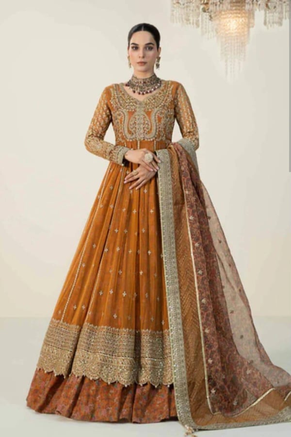 Liara premium collection 3 piece embroidered gown