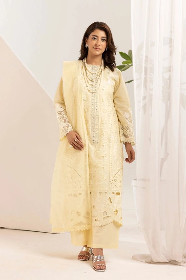 Maria luxe collection 3 piece embroidered suit