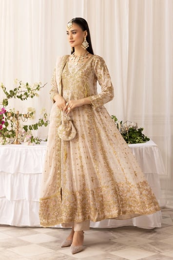 Elisa luxe collection 3 piece chiffon embroidered gown - Beige, Medium