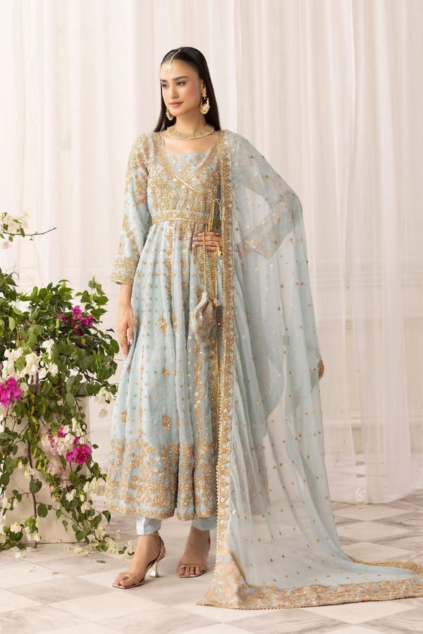 Elisa luxe collection 3 piece chiffon embroidered gown - SBLUE, Large