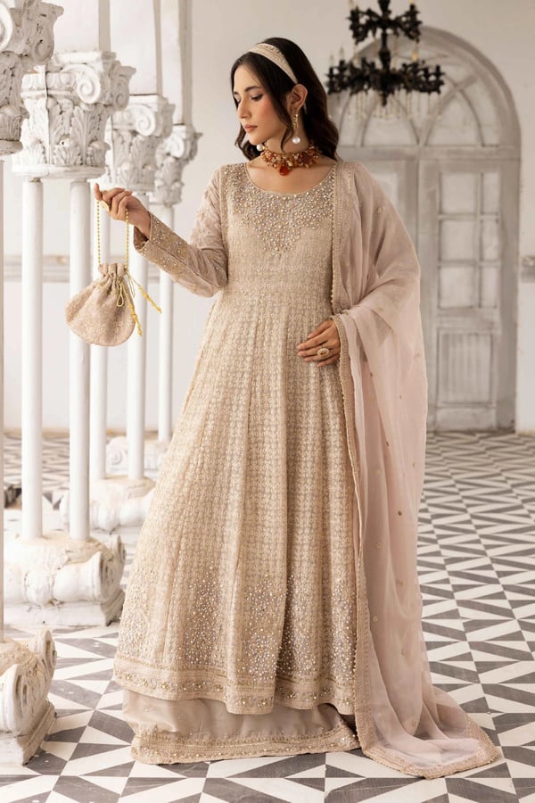 Elisa collection 3 piece luxe chiffon embroidered gown - Beige, Large