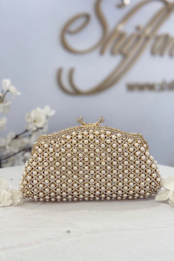 Cecilia embroidered clutch bag