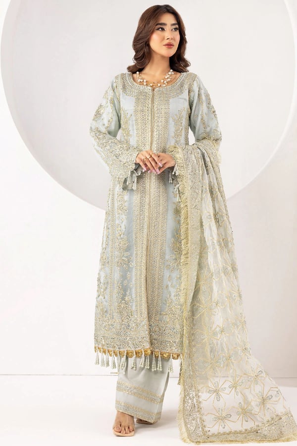 Noori collection 3 piece organza embroidered suit - SKY BL, Large