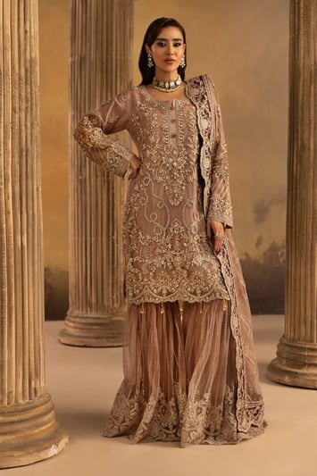 Noir Premium Collection 3 piece gharara suit - DTPINK, Large