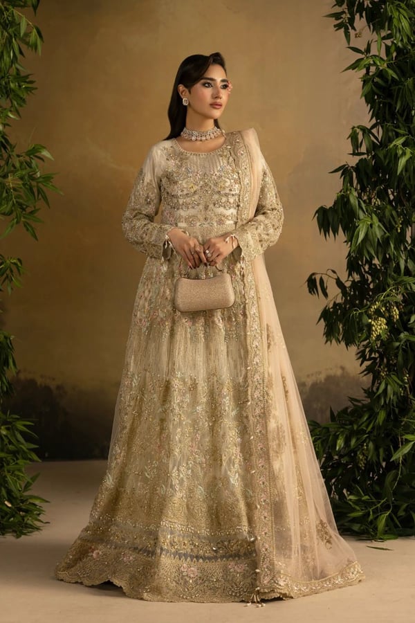 Noir Premium Collection 3 piece luxe embroidered gown