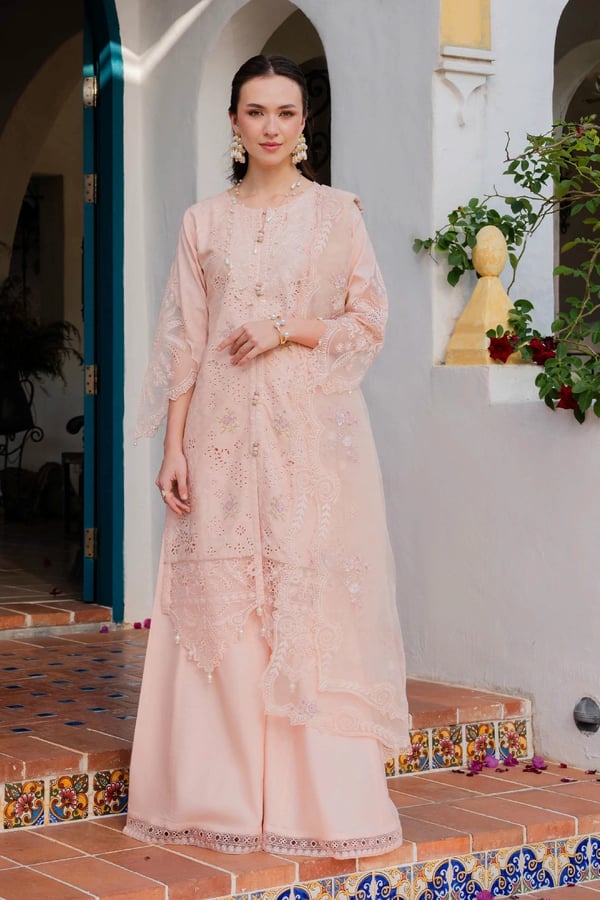 Aurea premium Eid collection 3 piece embroidered suit - Peach, X - Large