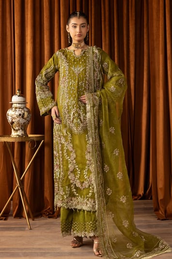 Sangeet premium collection 3 piece mehndi suit - MEHNDI, Small