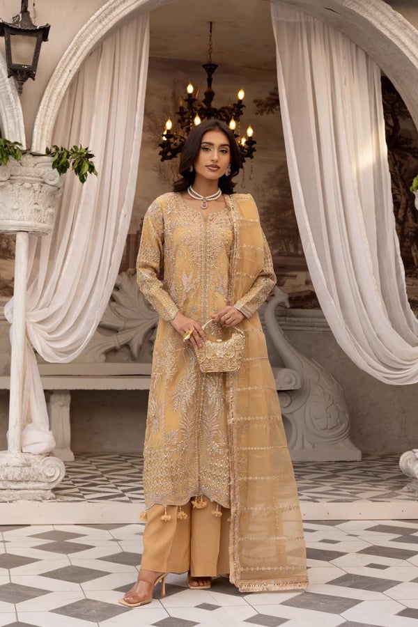 Zikr-e-Yaar 3 piece luxe embroidered collection - Gold, X - Large