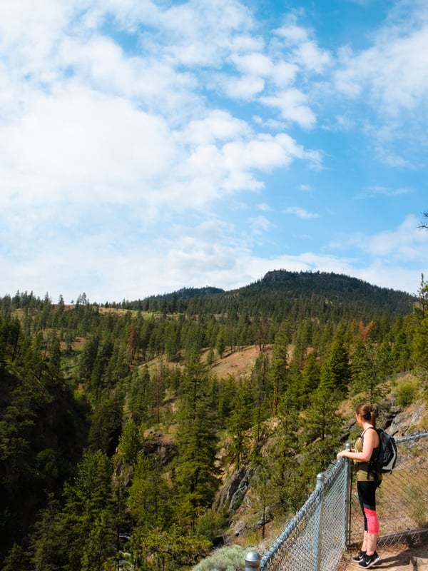 Woman stands next to chain link beside a canyon full of trees